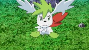 Fly Shaymin! To the Far Side of the Sky!!