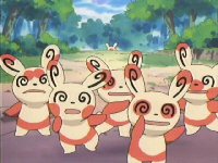 Lots of Spinda! Beyond the Mountain in Search of Happiness!