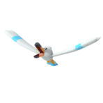 Wingull New Pokémon Snap Extra Sprite