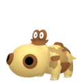 Hippopotas in Pokémon HOME