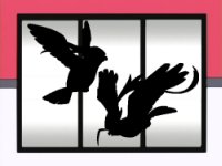 Pok�mon of the Week