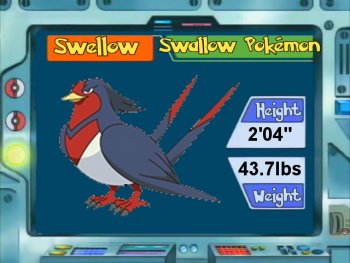 Pokemon Swellow