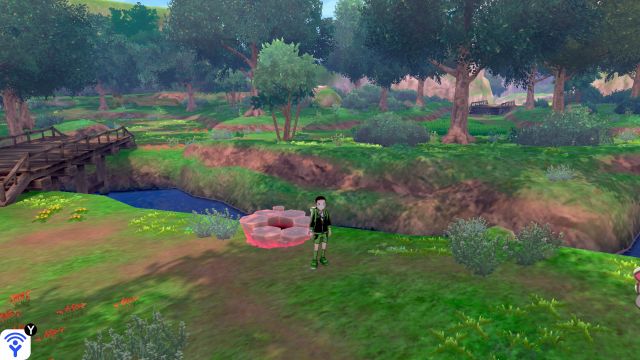 Forest of Focus - Pokémon Den