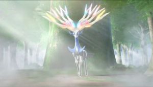 X/Y General Chat and Speculation