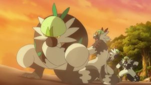 Ash and Passimian! A Touchdown of Friendship!!