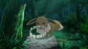 Eevee is Shy with Strangers! The Catcher in the Flowers!!