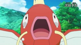 A New Show?! The Tiny Melody of Magikarp