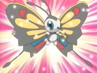 Episode 289: Contest! Beautifly's Magnificent Battle!