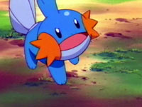 Episode 301: The Secret Pond! Full of Mudkip!