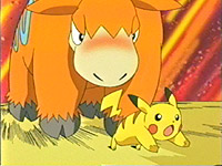 Pokemon Camerupt 5 Inch Sitting Cuties Plush : Amazon.com.au: Toys & Games