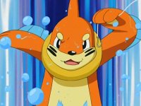 Dawn (Anime), Pokémon show Wiki