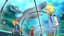 Pokémon XY Episode 63—English Dub: Serena the Enigmatic Marriage Counselor!  - video Dailymotion