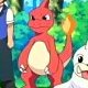 Special/Other Trainers's Charmeleon