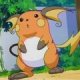 Special/Other Trainers's Raichu