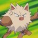 Special/Other Trainers's Primeape