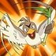 Special/Other Trainers's Farfetch'd