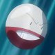 Rubina's Electrode