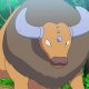 Hashiba's Tauros Hashiba's Tauros