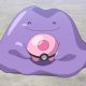 Navi's Ditto Navi's Ditto