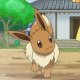 Haruhi's Eevee Haruhi's Eevee
