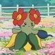 Special/Other Trainers's Bellossom