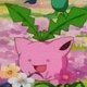 Special/Other Trainers's Hoppip