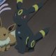 Haruhi's Umbreon Haruhi's Umbreon