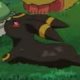 Special/Other Trainers's Umbreon