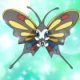 Special/Other Trainers's Beautifly