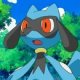 Special/Other Trainers's Riolu