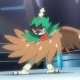Special/Other Trainers's Decidueye