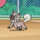 Special/Other Trainers's Rockruff