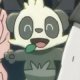 Other Trainers's Pancham