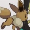 Wild's Eevee