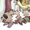 Wild's Zigzagoon