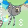 Wild's Scatterbug