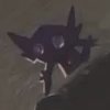 Wild's Sableye