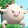 Other Trainers's Mankey