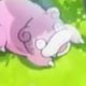 Wild's Slowpoke