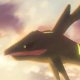 Wild's Rayquaza