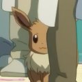 Other Trainers's Eevee