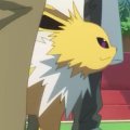 Other Trainers's Jolteon