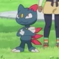 Other Trainers's Sneasel