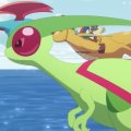 Wild's Flygon