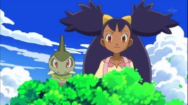 Iris (anime), Pokémon Wiki