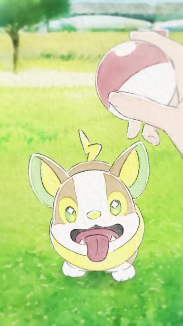 Yamper's Walkies