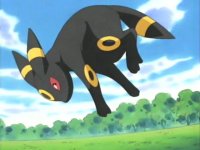 :·◦○◦The *New* Ultimate Umbreon FC◦○◦·:
