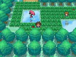 Pokemon Black & White 2 Grilulocke - NDS Hack ROM where you play as Grillo  or Lugre on Unova Region! 
