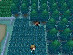 Pokémon Black 2 Pokémon White 2 Hidden Grotto