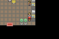 Pokemon Platinum Move Tutors Serebii